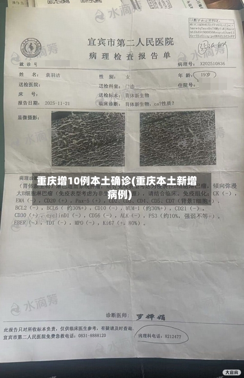 重庆增10例本土确诊(重庆本土新增病例)