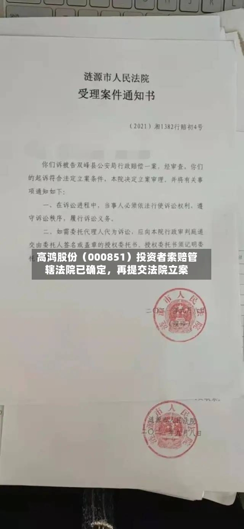 高鸿股份（000851）投资者索赔管辖法院已确定，再提交法院立案-第3张图片